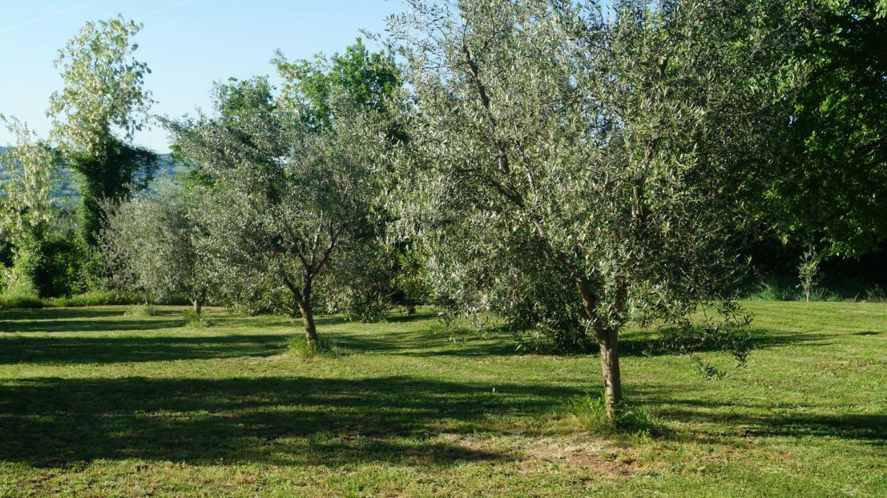 Agriturismo Poggio San Pietro Питильяно Экстерьер фото